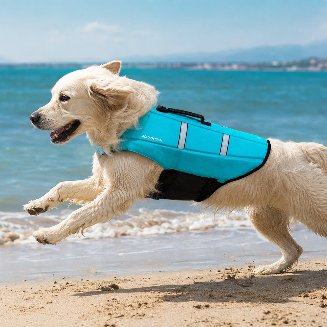 aquadesign-gilet-chien-flottabilit-orange-m-8-13-kg image 2